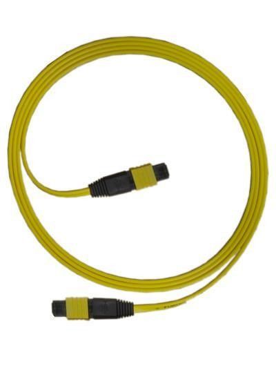 CAT M / Bilgisayar Ağları İçin SM MTP 24 Çekirdekli Fiber Optik Kablo Fan Tipi