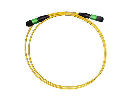 Erkek / UPC MPO Patch Cord Kompakt SMF 2 - 24 Çekirdek IS0 / ROHS Dayanıklı Tedarikçi